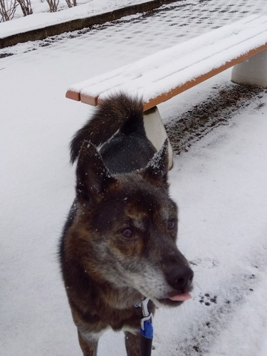 IMG_2025-01-04-09-05-47-353s