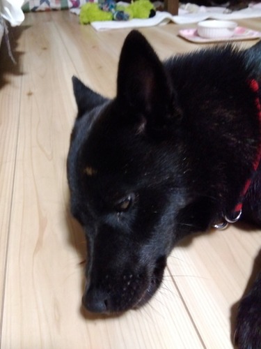 IMG_2025-09-06-20-47-58-426s