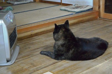 DSC_1282_20150210_3071-