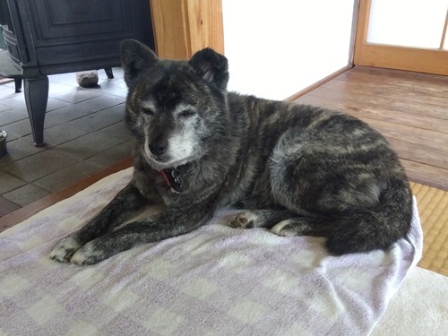 IMG_2025-06-26-08-55-32-262s