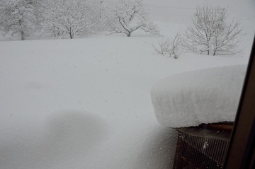 DSC_7936_20150210_3061-