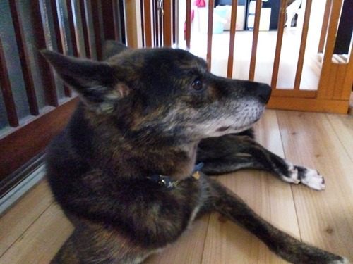 IMG_2025-07-18-08-55-42-085s