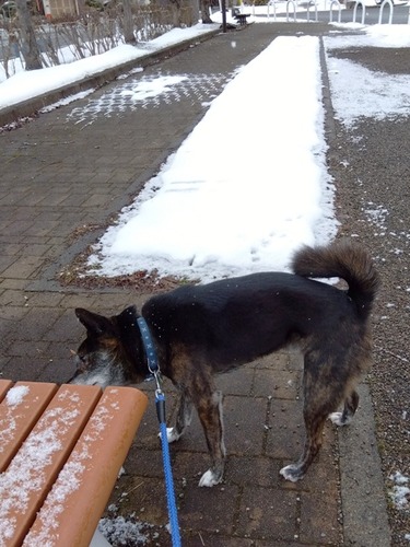 IMG_2025-01-05-09-09-10-466s