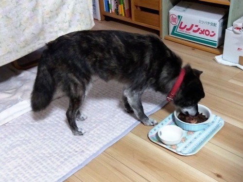 IMG_2025-10-12-09-48-33-600s