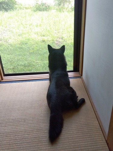 IMG_2025-06-26-08-51-39-582s