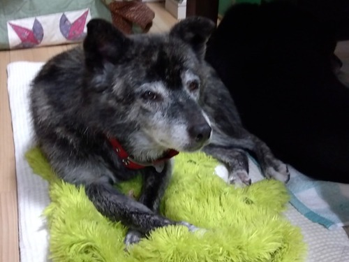 IMG_2025-09-05-11-23-10-173s