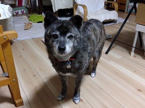 IMG_2025-06-03-20-29-37-825s