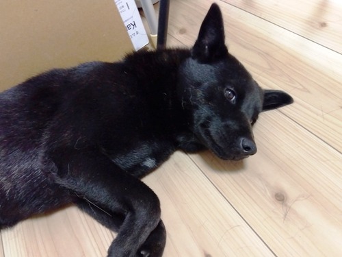 IMG_2025-07-18-08-38-44-282s