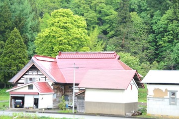 DSC_0020_20150516_330