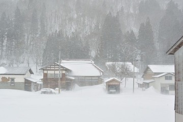 DSC_3259_20160301_1122