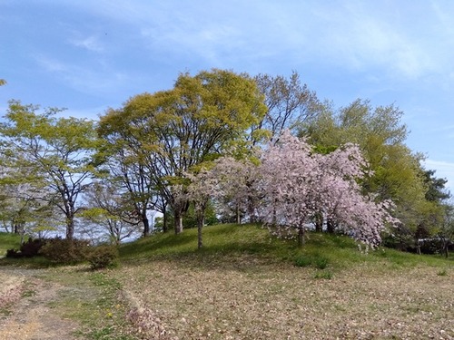 IMG_2026-04-19-08-50-02-952