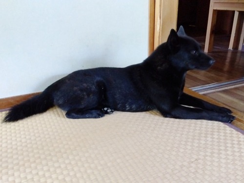 IMG_2025-07-28-08-22-22-800s