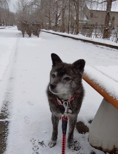 IMG_2025-01-04-09-06-18-811s