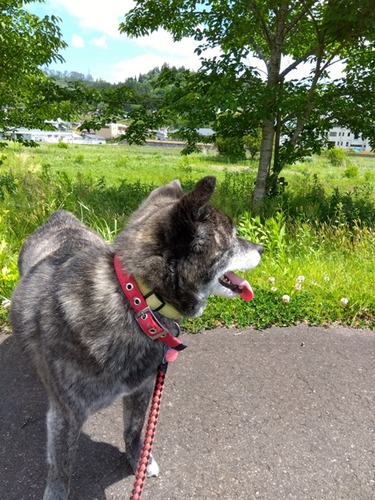 IMG_2024-05-25-12-53-41-286w