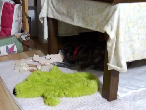 IMG_2025-10-18-20-03-38-834s