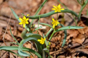 DSC_9469_20150429_3384-