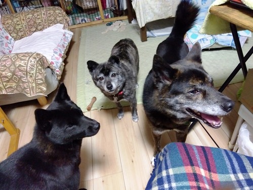 IMG_2025-04-25-18-42-25-891s