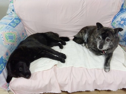 IMG_2025-06-12-01-04-09-791s