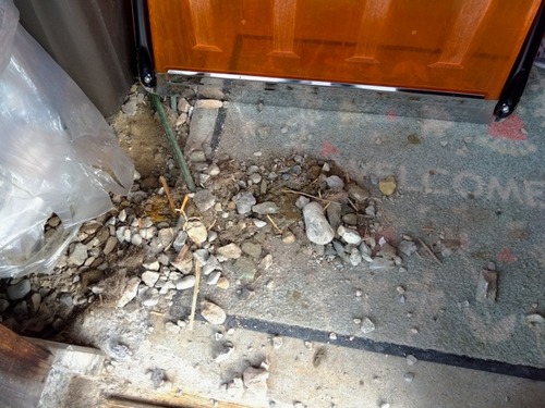 IMG_2025-01-17-08-59-39-877