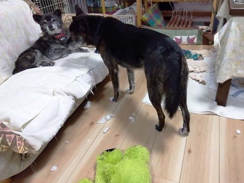 IMG_2024-12-01-11-51-18-850s