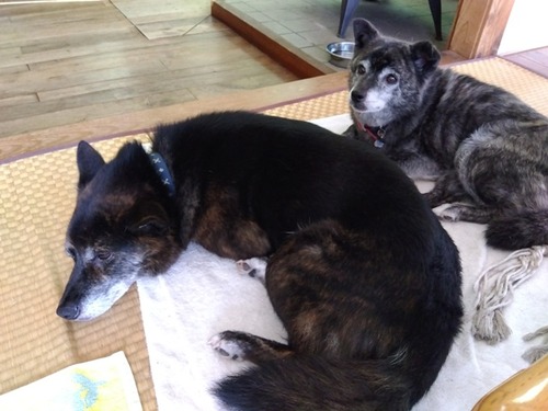 IMG_2025-07-27-16-12-54-498s