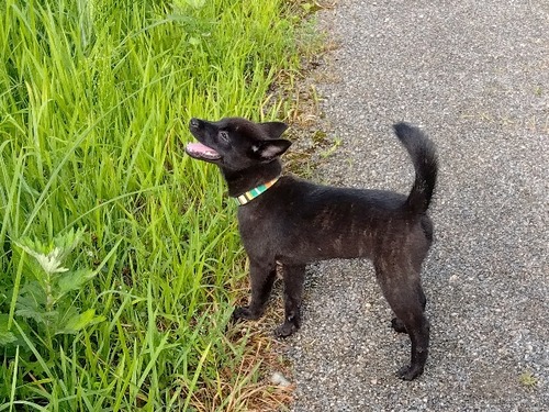 IMG_2024-08-24-07-46-15-848_773