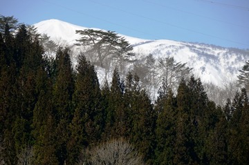 DSC_8668_20150327_3184-