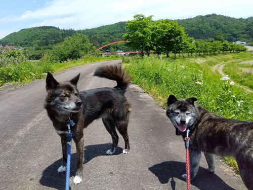 IMG_2025-05-23-11-48-02-091s