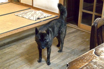 DSC_2776_20151215_858