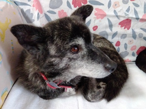 IMG_2024-12-01-13-06-42-033s