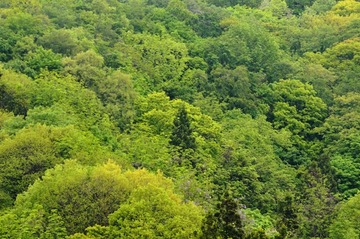 DSC_0026_20150516_331