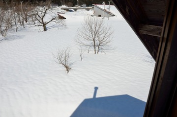 DSC_8676_20150327_3185-