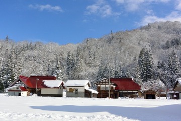 DSC_0867_20141208_2849-