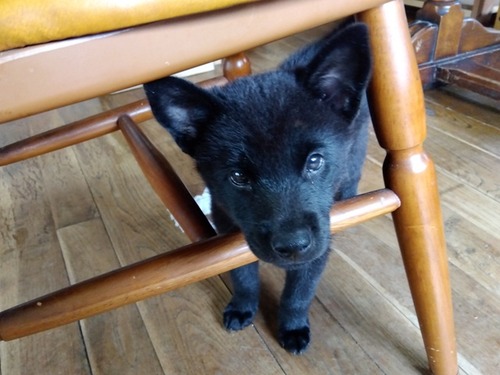 IMG_2024-07-26-08-16-56-209r