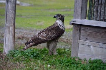 DSC_2302_20151121_759
