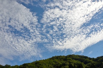 DSC_1561_20150921_516