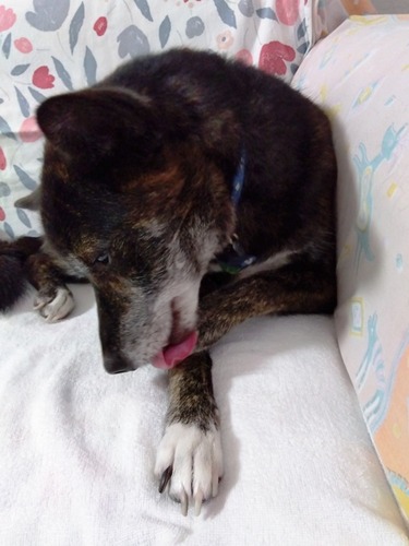 IMG_2024-12-01-13-06-35-481s