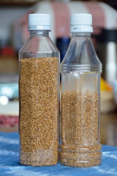 DSC_7952_20150210_3068-