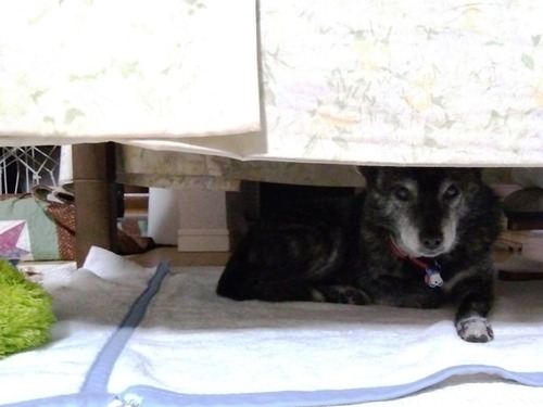 IMG_2024-12-01-17-26-07-367s