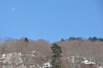 DSC_8792_20150330_3189-