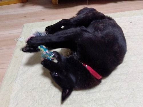 IMG_2025-04-27-07-27-34-459s