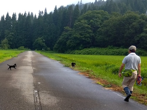 IMG_2024-08-24-07-41-49-400_770