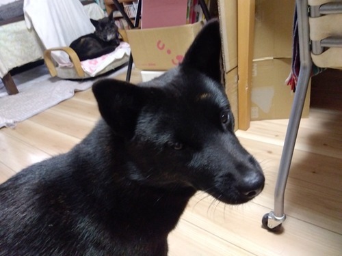 IMG_2025-06-12-08-50-18-193s