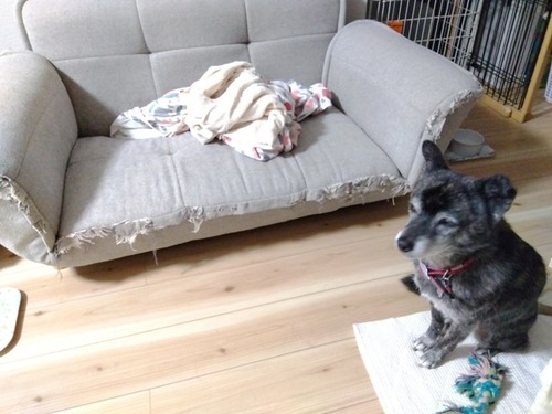 IMG_2024-11-07-21-21-45-186