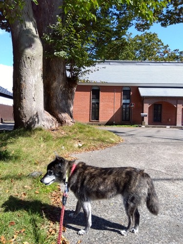 IMG_2025-10-17-12-37-44-385s