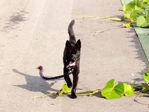 IMG_2024-08-24-08-01-06-507_779