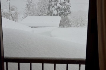 DSC_7939_20150210_3062-