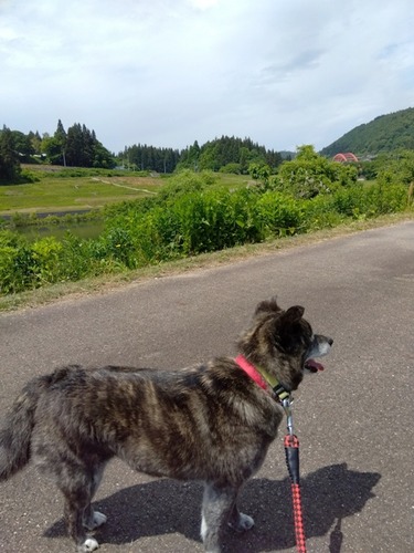 IMG_2024-05-27-13-14-17-929w