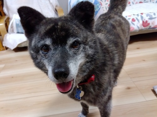 IMG_2024-07-25-09-06-24-658r