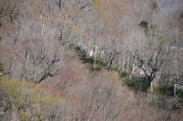 DSC_9221_20150423_3296-